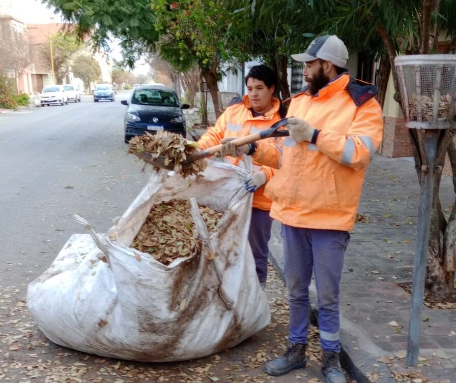 Trabajos semanales de la Coordinación de Higiene Urbana de Tres Arroyos