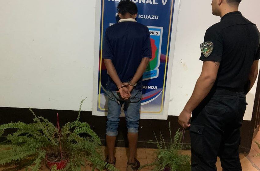 Puerto Iguazú: detenido por sustraer plantas de un vivero.