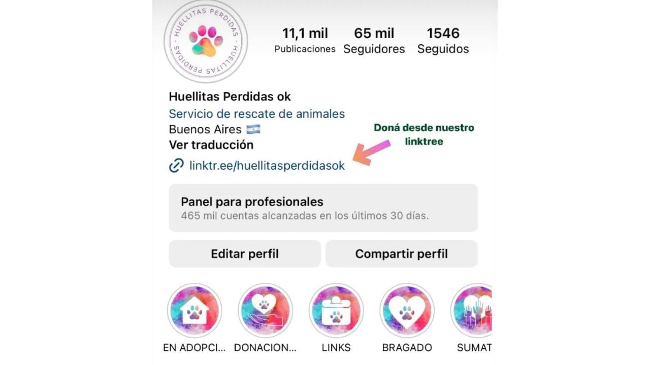 El usuario de @Huellitasperdidasok que tiene un link para brindar donaciones y escribir el formulario de adopción.