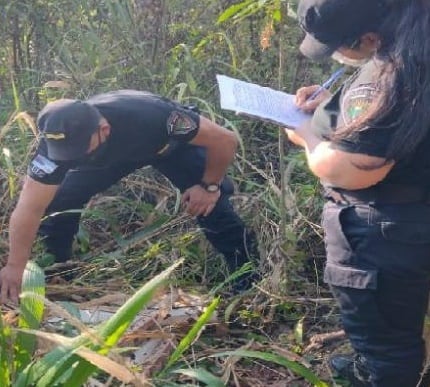 Detuvieron a un joven con objetos robados en Colonia Victoria.