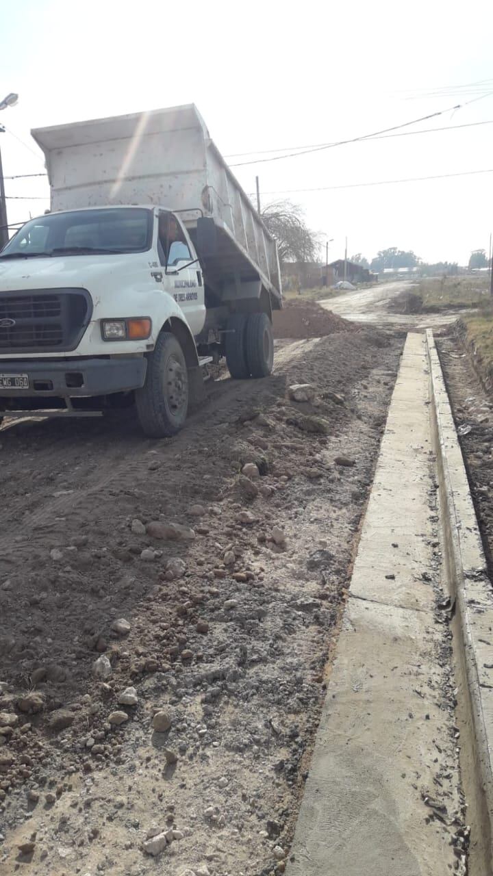 cordón cuneta de calle Formosa y en la reforestación en varios puntos de la ciudad