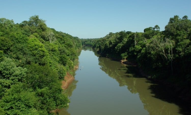 Selva Misionera en la “Curva del Urugua-í”