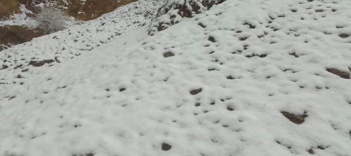 Esta mañana amanecieron con nieve algunos sectores de la RP 33.