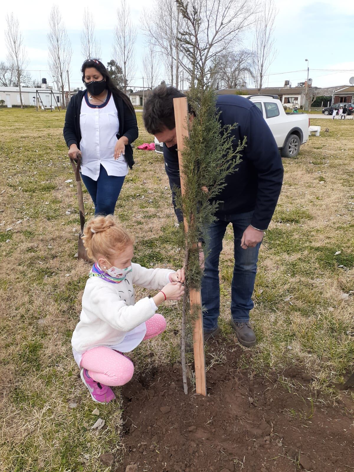 Niños de la Escuela Nº 17 de Orense plantaron pinos