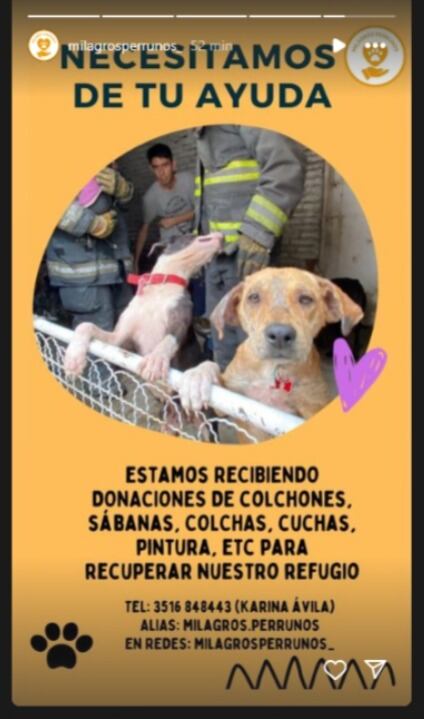 Donaciones a Milagros Perrunos. (Captura)