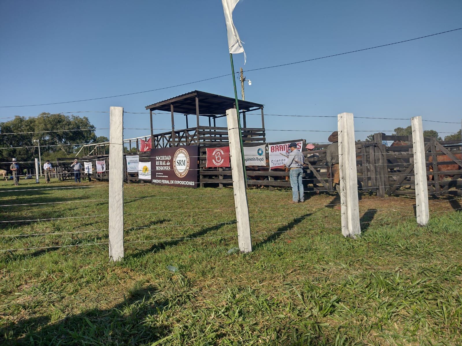 Expo Rural 2023 | Jura de clasificación, exposición ganadera y cabalgata