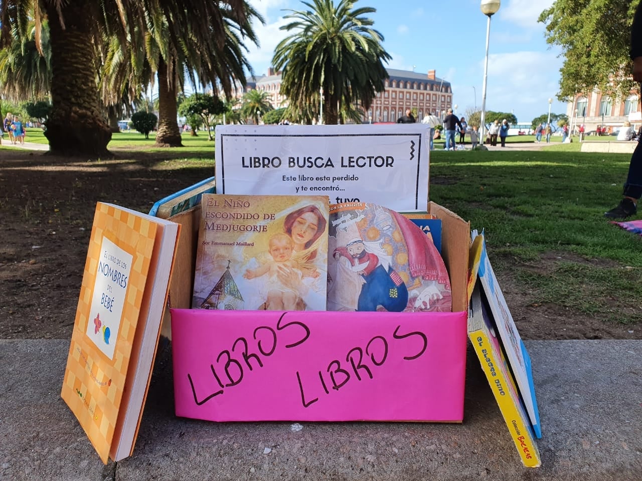 Desde hace cuatro años, la ONG Casa de 20 realiza una “Siembra de Libros”, pero ¿de qué se trata? Y ¿Cómo se puede formar parte de la iniciativa?