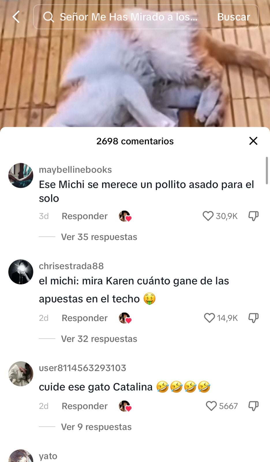 Los internautas estallaron de risa con el video.