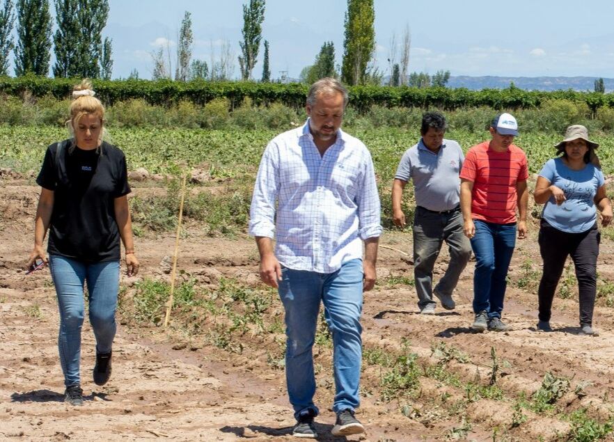 Maipú eximirá del pago de tasas municipales a productores del departamento.