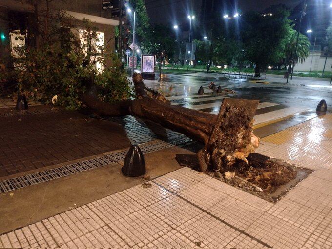 Parte de los destrozos que dejó la tormenta.