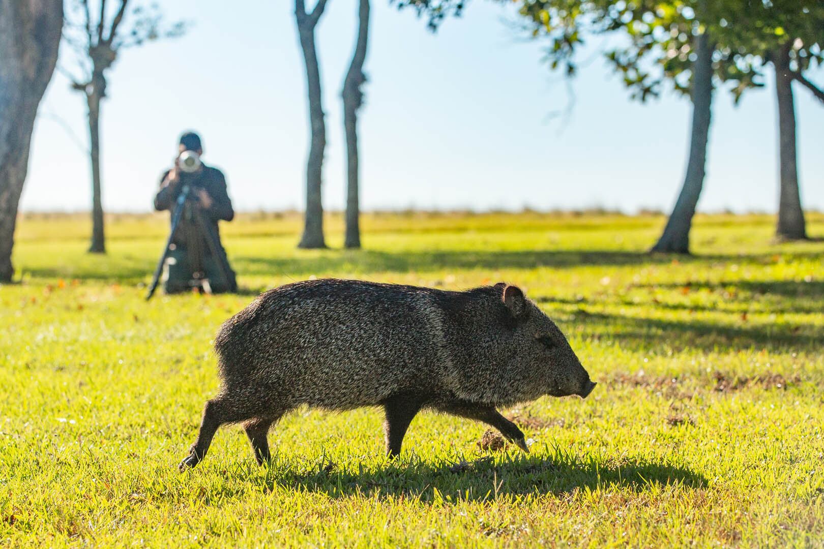 Cuáles son las actividades ideales para disfrutar en verano en los Esteros del Iberá