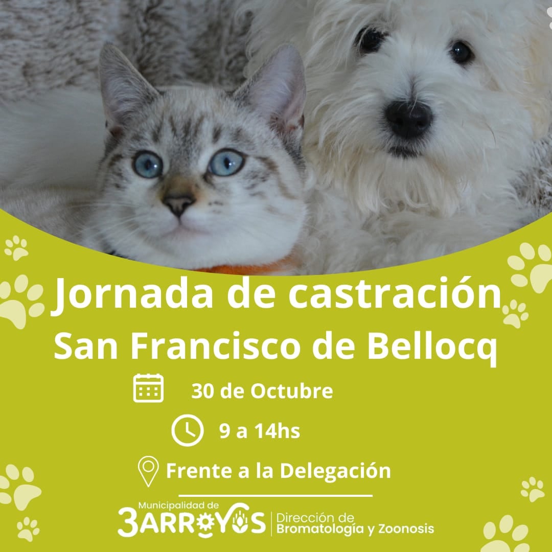 Jornada de castración gratuita en San Francisco de Bellocq y en el Barrio Boca