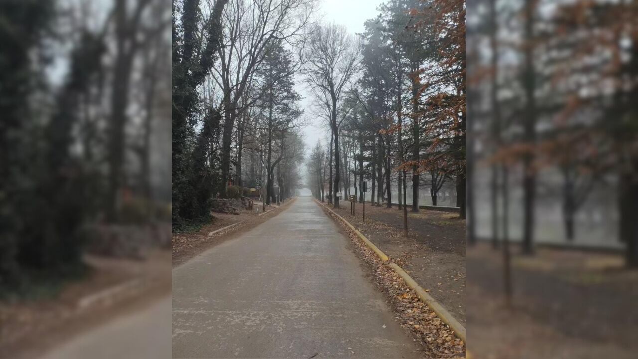 Así amaneció El Trapiche: mirá las postales mágicas llenas de neblina y un paisaje único