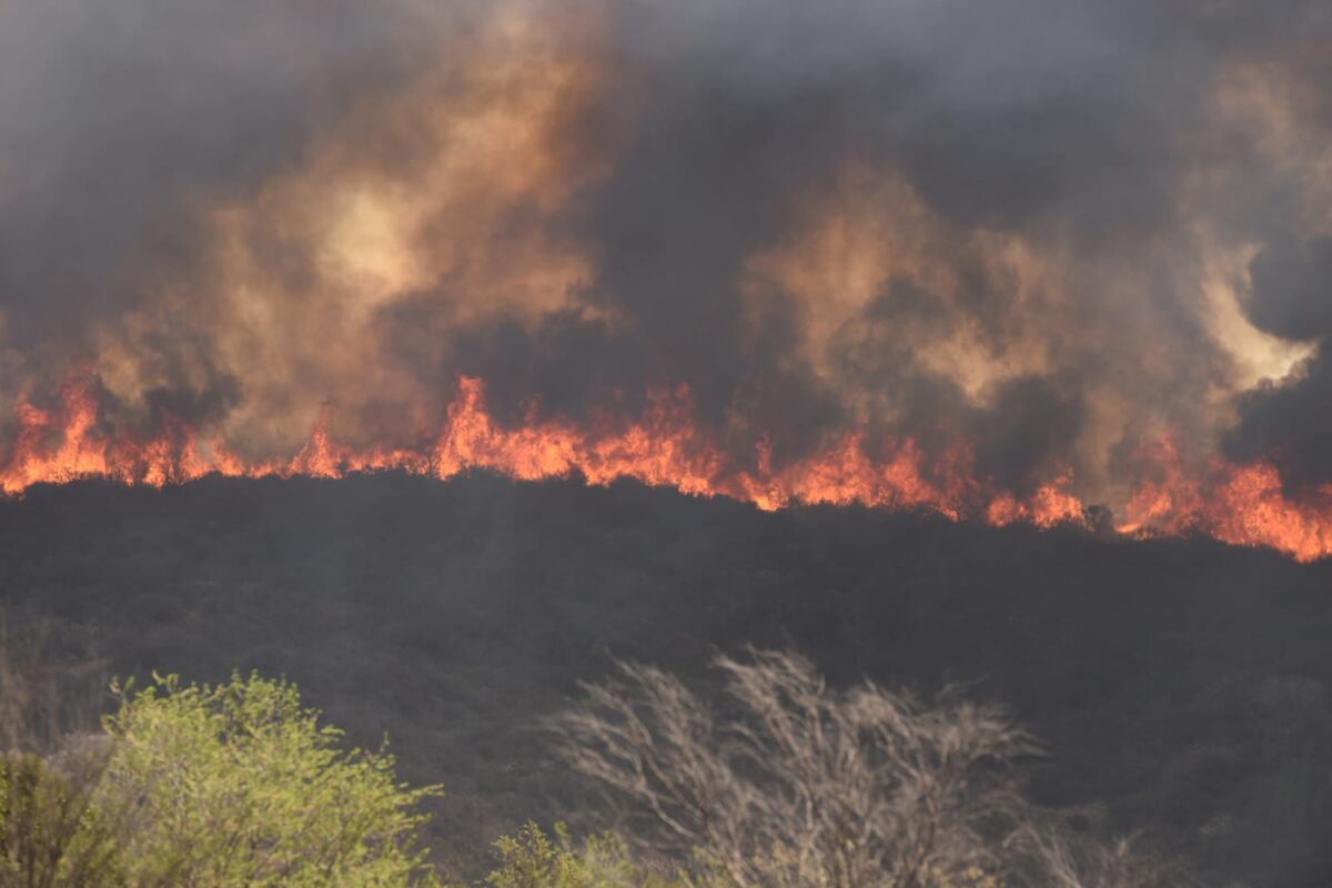 Catástrofe en Punilla: nuevos focos y un detenido por “incendio doloso”