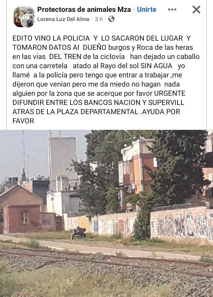 Publicación en Facebook de la vivienda donde estaba el animal.