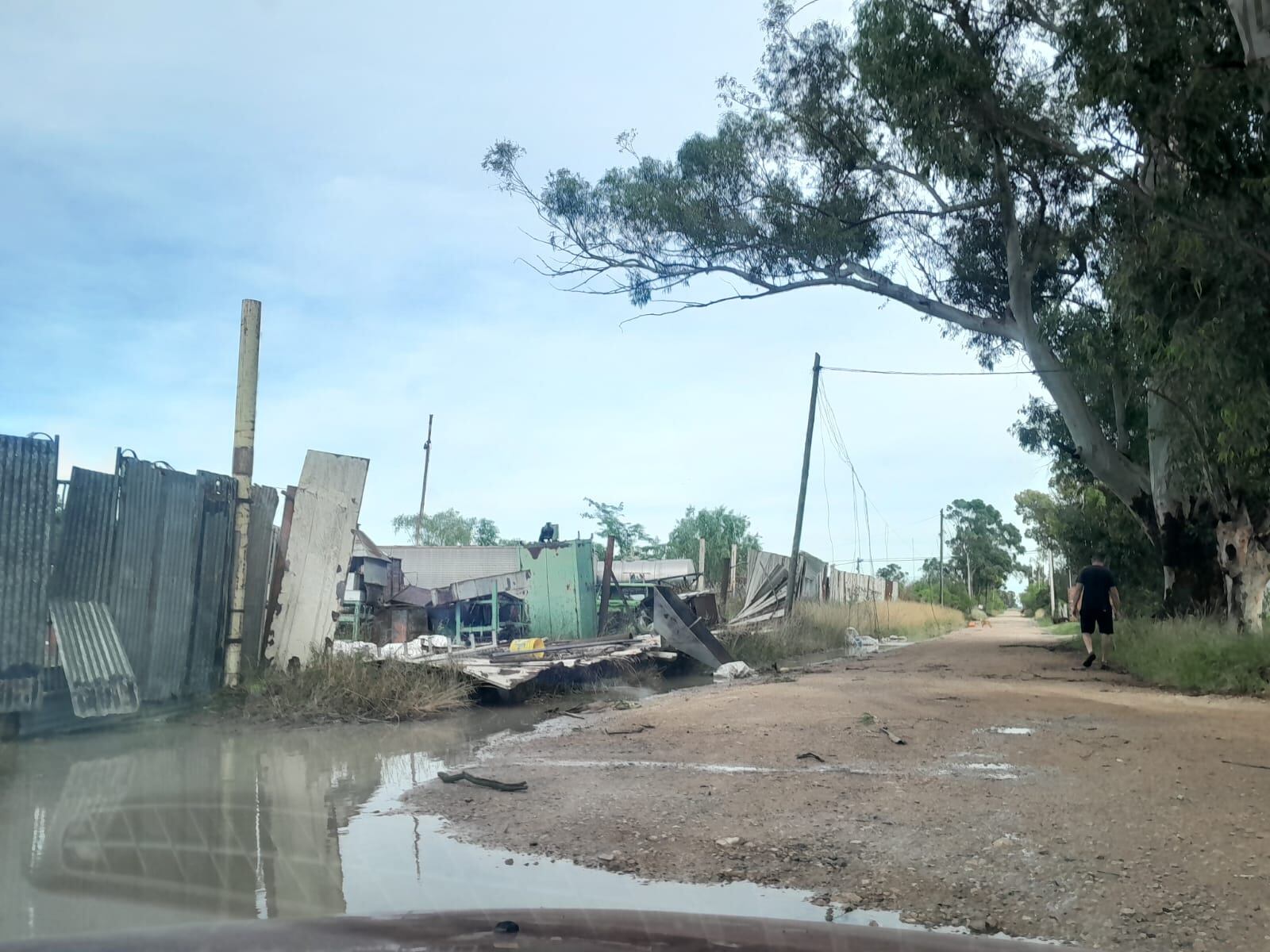 Temporal en Tres Arroyos: evacuados, árboles  caídos, techos volados y daños