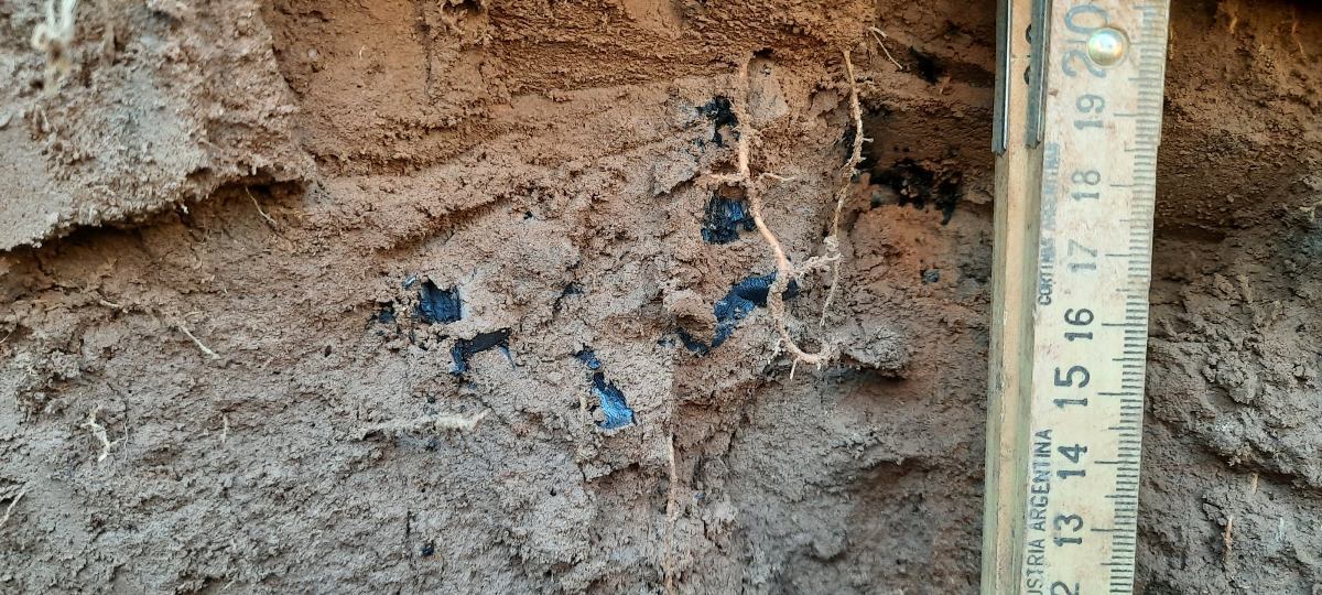 Descubren yacimientos que podrían ser de épocas pre-guaraníticas en las Cataratas del Iguazú.