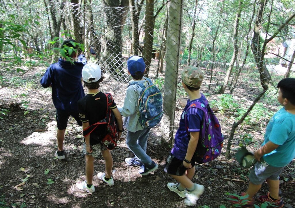 La Municipalidad de la capital jujeña se suma a la iniciativa mundial denominada "La Hora de Planeta", con un propuesta para niños en el Parque Botánico del barrio Los Perales.