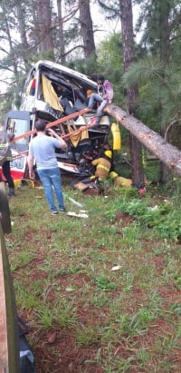 Impactante accidente en Gobernador Roca: un colectivo despistó y hay al menos un fallecido.