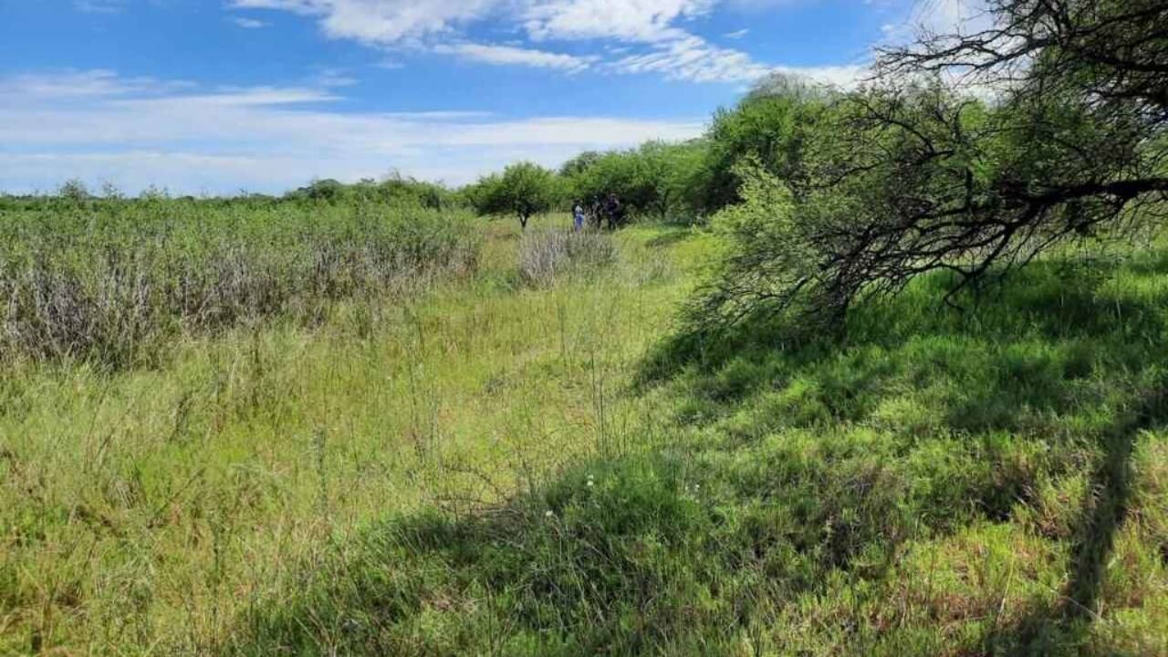 Encontraron un cadáver en una zona rural de Santa Fe