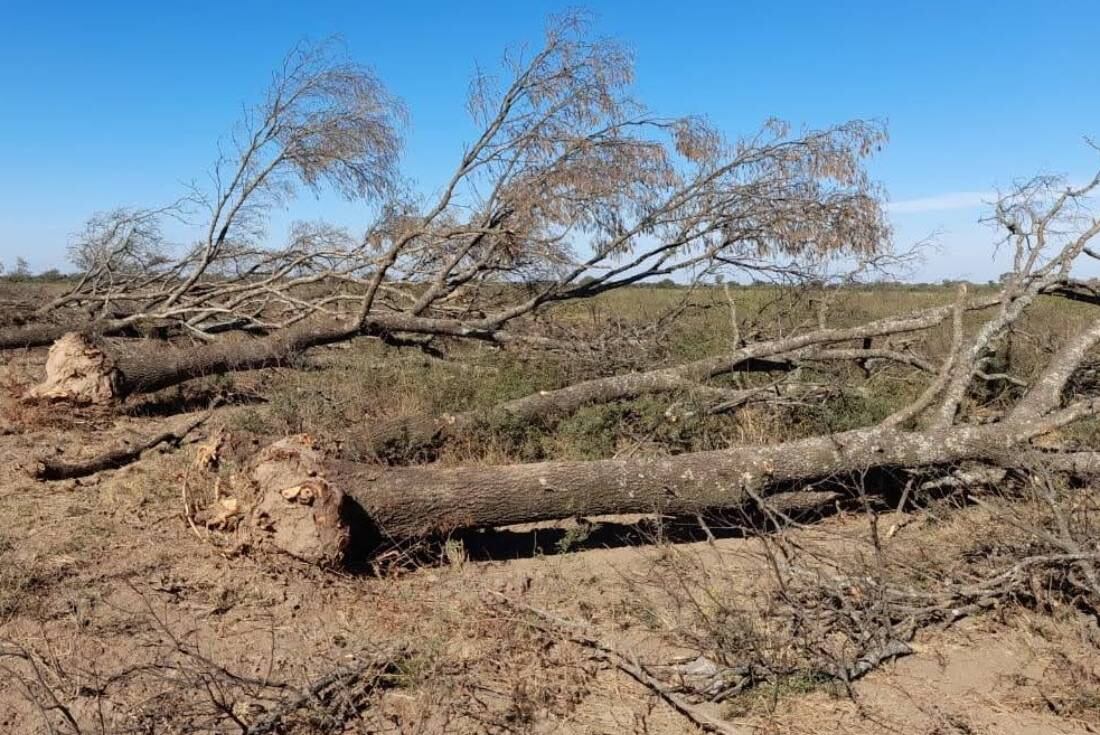 La provincia más afectada fue Santiago del Estero, seguida de Formosa, Chaco y Salta.