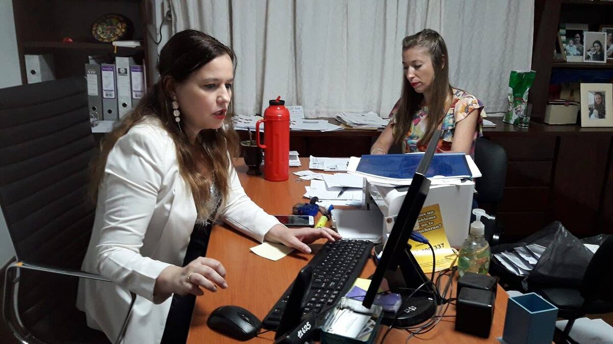 La Defensora del Pueblo recomendó al Intendente una audiencia pública por la tala de los pinos en Oberá