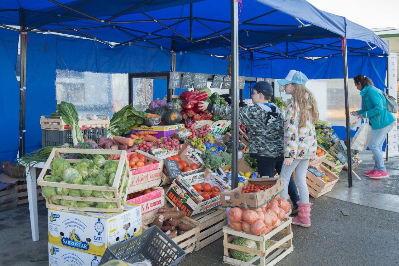 Tierra del Fuego recibió insumos para la realización de “Ferias itinerantes”