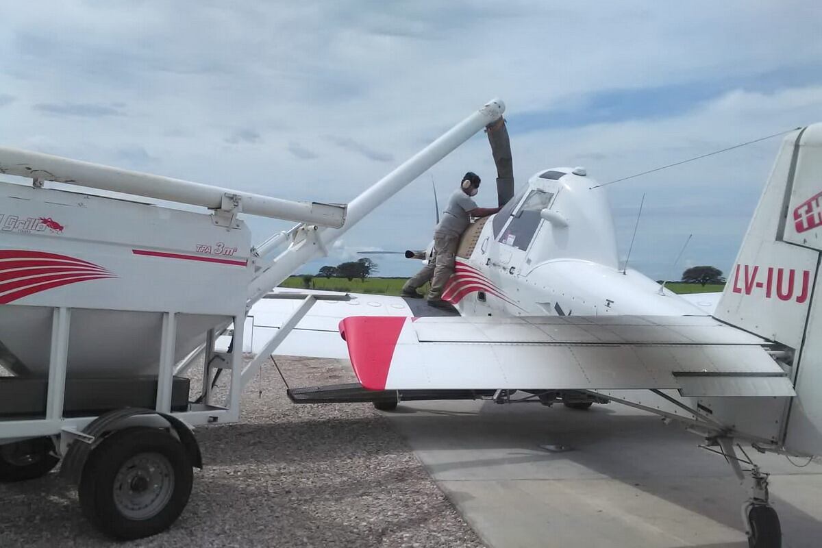 Siembra aérea: buena complementación de la agricultura con la ganadería