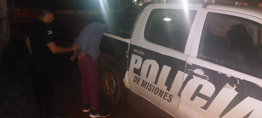 Detenidos por varios delitos en la zona Norte provincial.