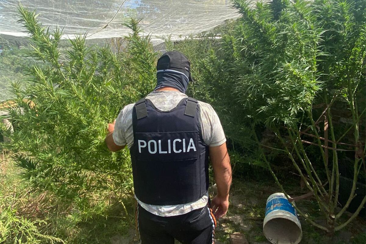 Se prendió fuego su casa en San Juan y terminó detenido por el olor que había: tenía plantas de marihuana