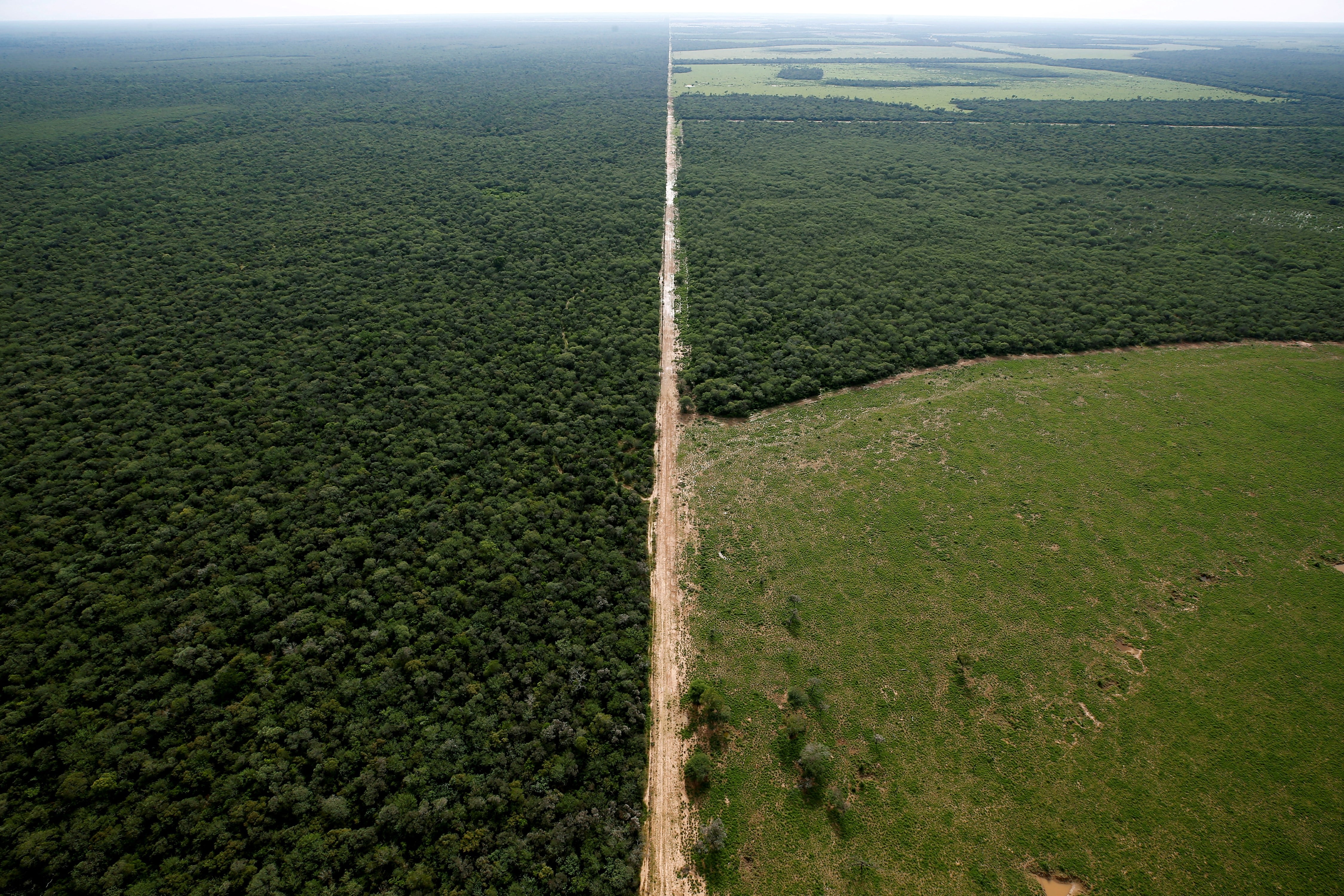 El Gran Chaco está enfrentando creciente presión ante la expansión del cultivo de soja y la cría de ganado para cumplir con la demanda global de alimentos.