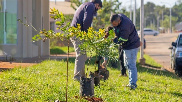 Se está llevando a cabo la realización del proyecto ganador del Presupuesto Participativo 2019