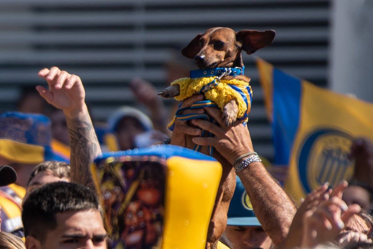 El dueño del perro lo levantó mientras otros fanáticos cantaban en la calle.