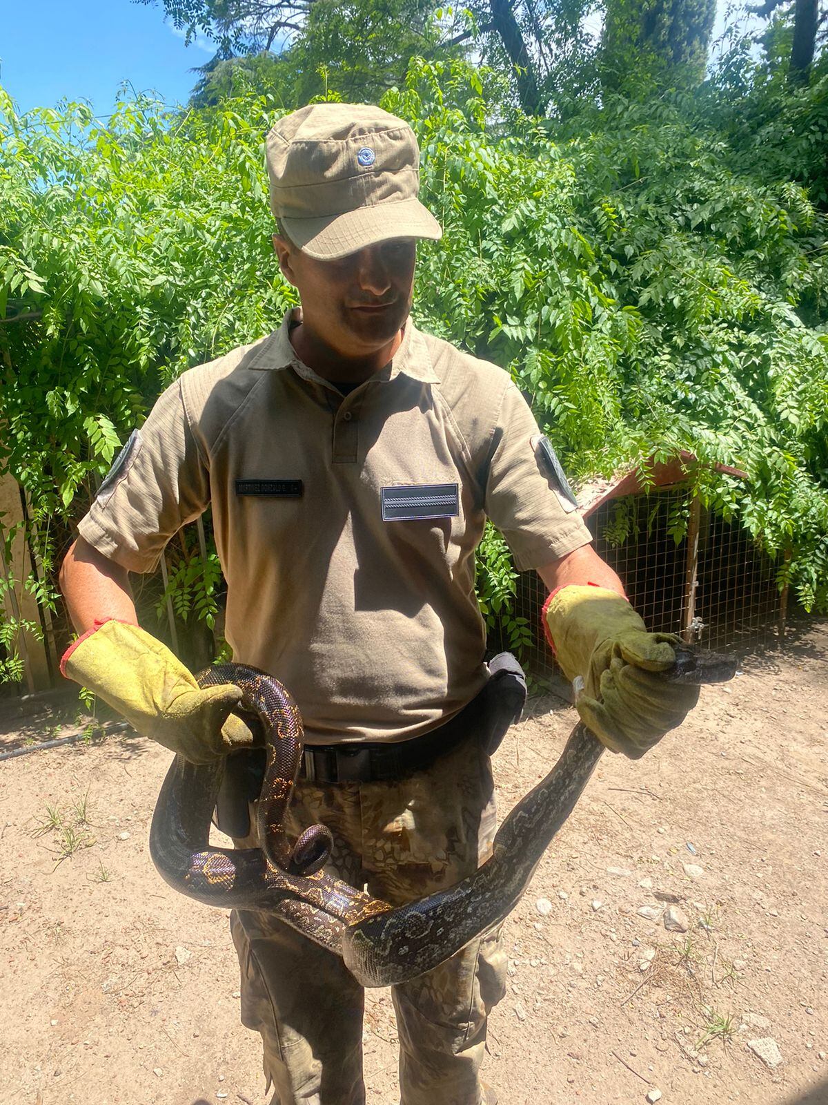 Encontraron una boa de dos metros en barrio Quebrada de las Rosas en Córdoba.