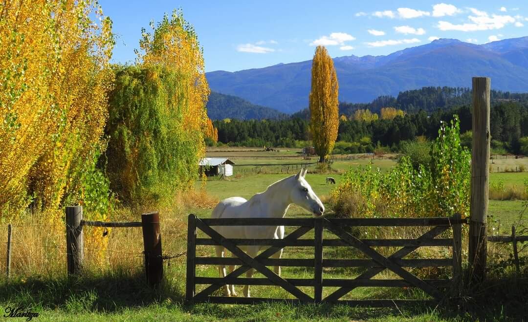 El Paraje Las Golondrinas es un lugar de ensueños ubicado en la provincia de Chubut.