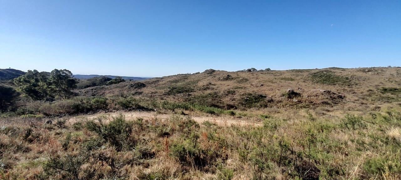 Los lotes están ubicados en Villa Cerro Negro, a dos horas de la ciudad de Córdoba.