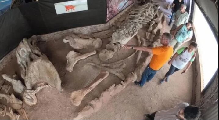 Por la bajante de un lago en Neuquén, encontraron restos de un dinosaurio gigante