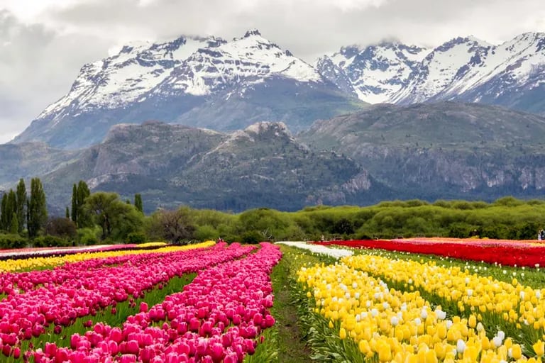 Trevelin ofrece una gran belleza natural en Chubut.