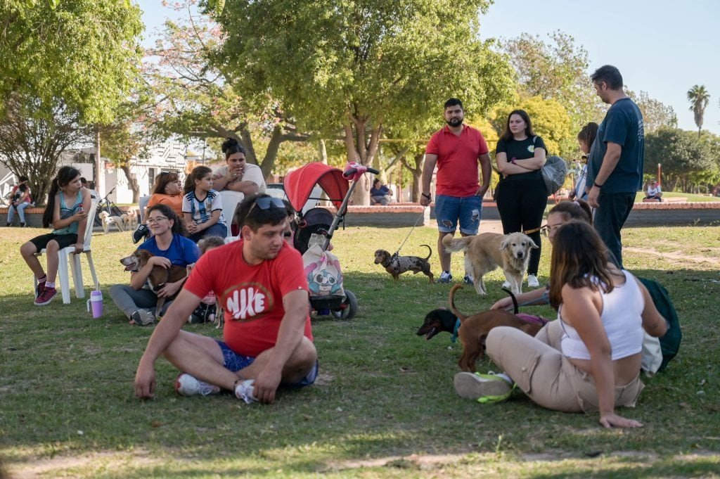 Día del animal en Arroyito 2023