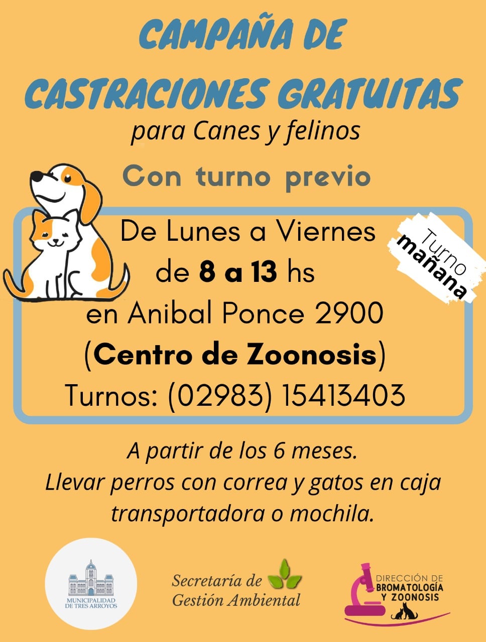 Campaña de castración gratuita de canes y felinos