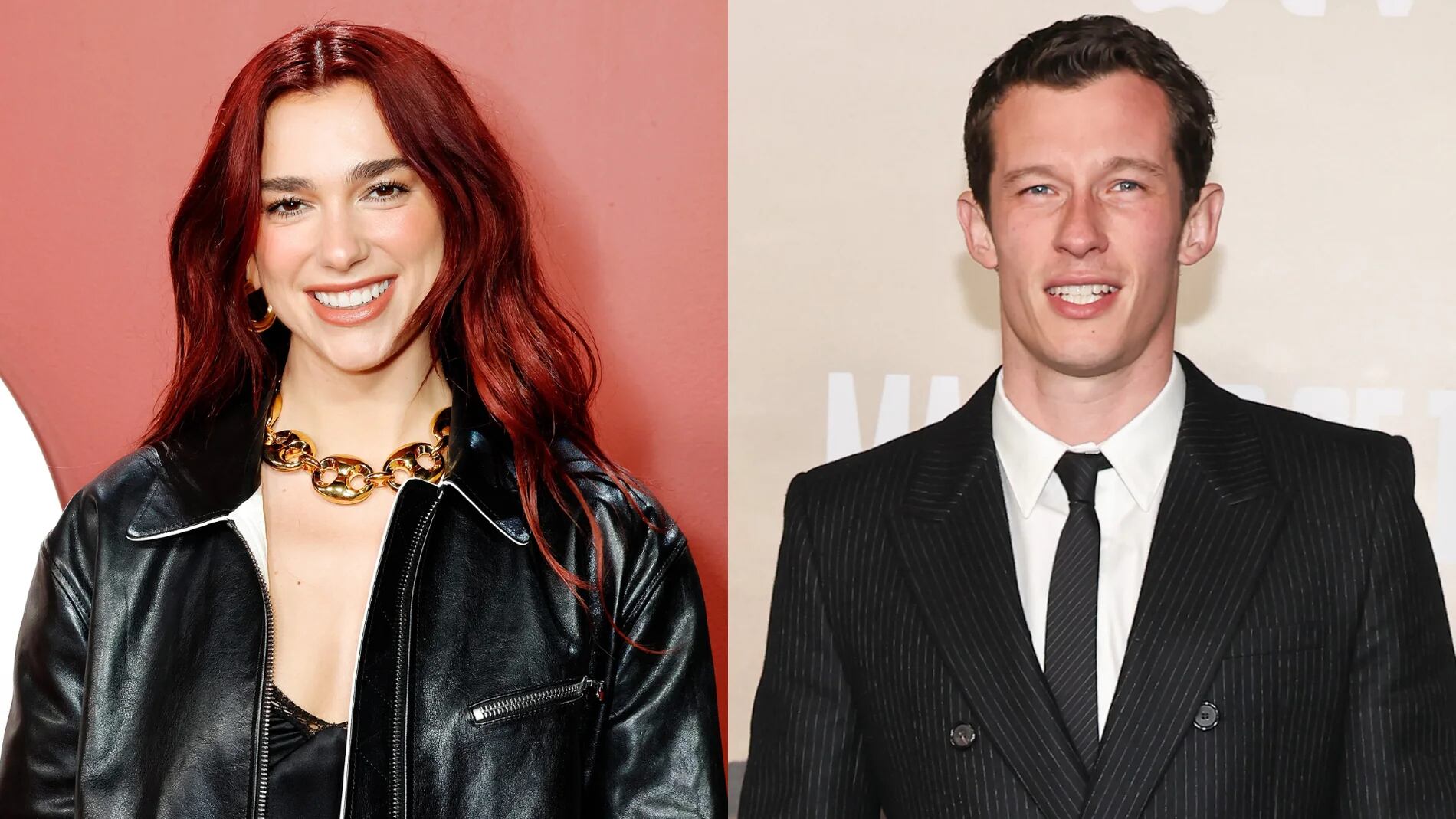 Dua Lipa está de novia con Callum Turner.