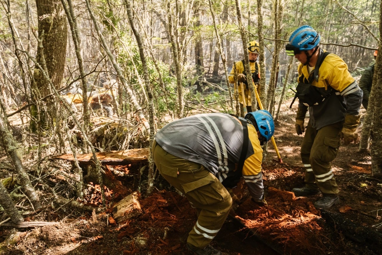 Arde Tierra del Fuego: el incendio continúa activo en la Reserva Provincial