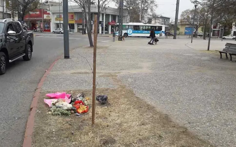 El montaje fue encontrado en Plaza Urquiza, en barrio San Vicente.