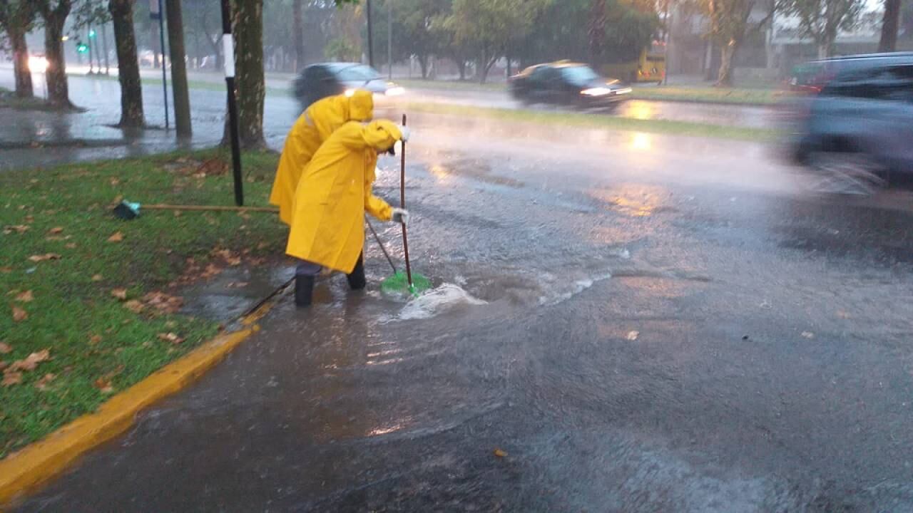 Realizan tareas de desobstrucción ante el temporal en Rosario