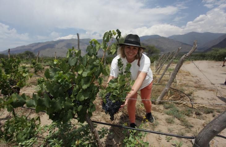 Enmarcada en los imponentes paisajes calchaquíes, las bodegas tucumanas ofrecen una amplia gama de actividades para esta Vendimia 2025.