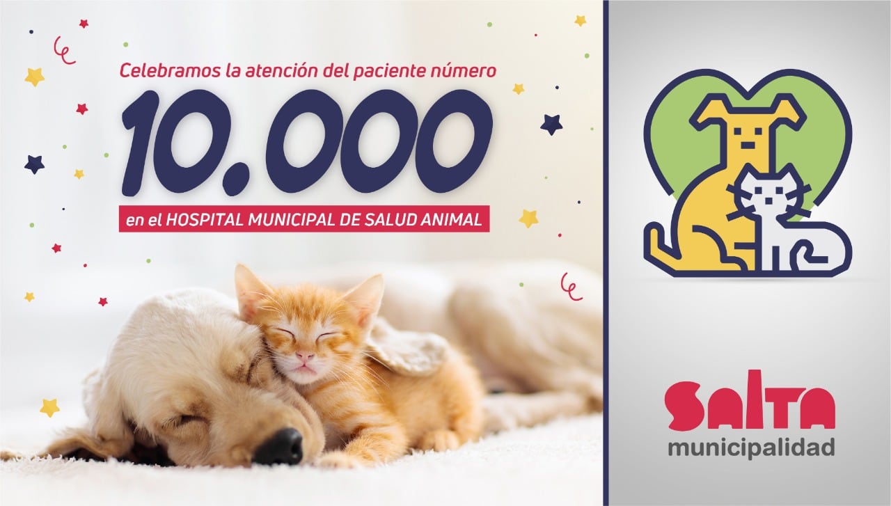 El Hospital de Salud Animal celebró la atención de su paciente 10.000