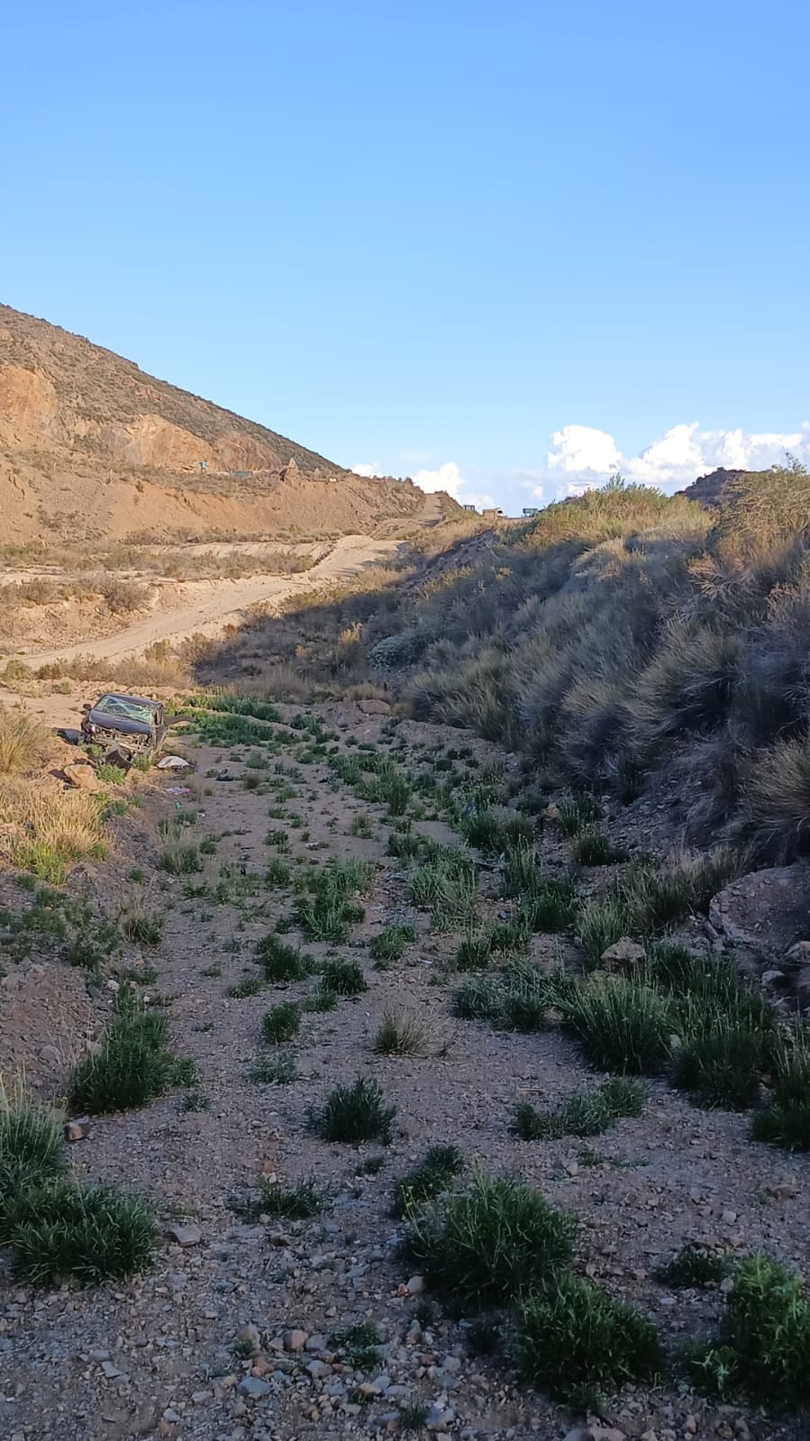 Un joven perdió la vida cuando el auto que manejaba cayó por un barranco en Luján. Foto: Ministerio de Seguridad.