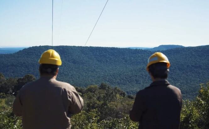 Realizaron limpiezas de traza en el tendido eléctrico.