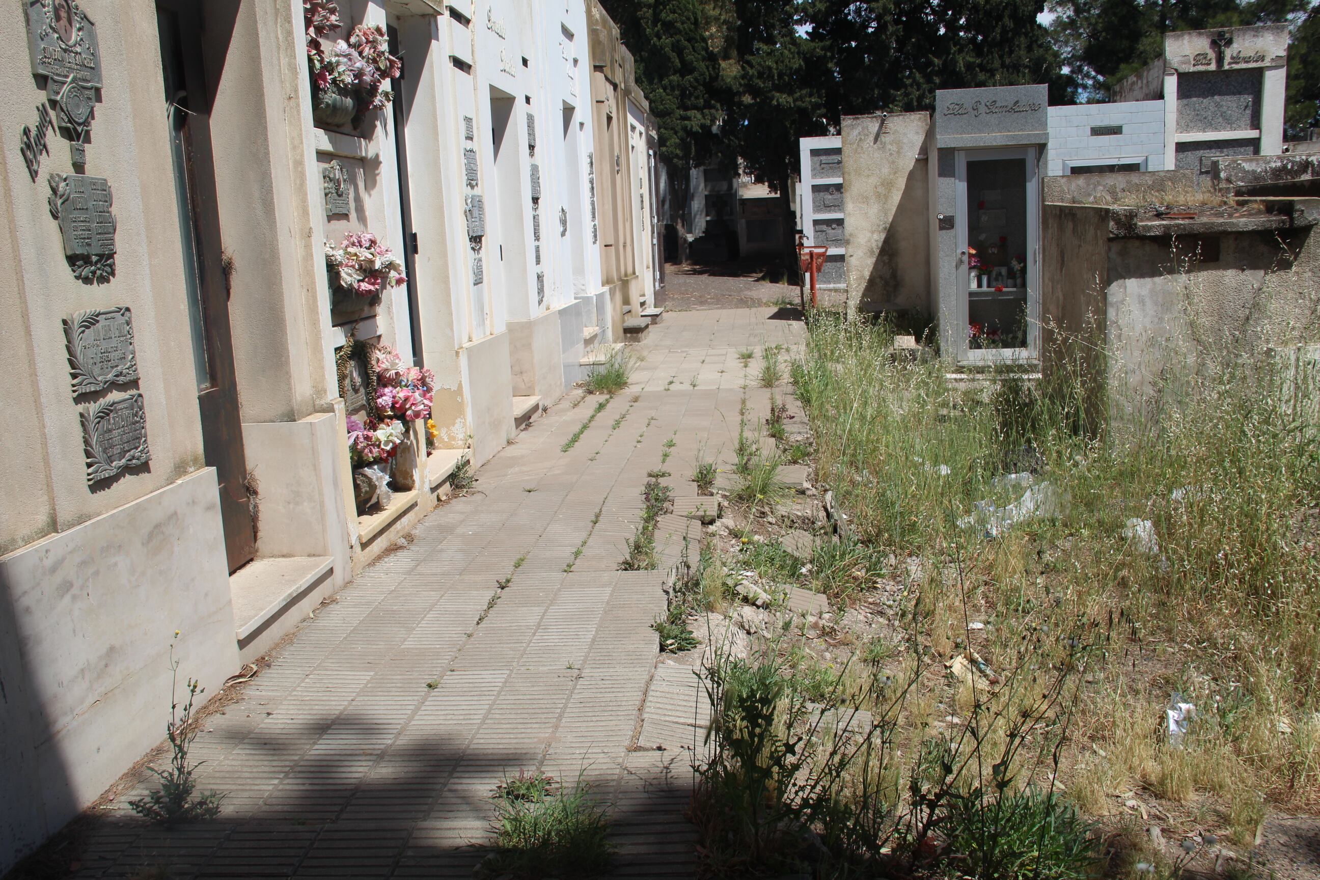 Veredas rotas, pastos resecos y basura en el cementerio de Punta Alta.