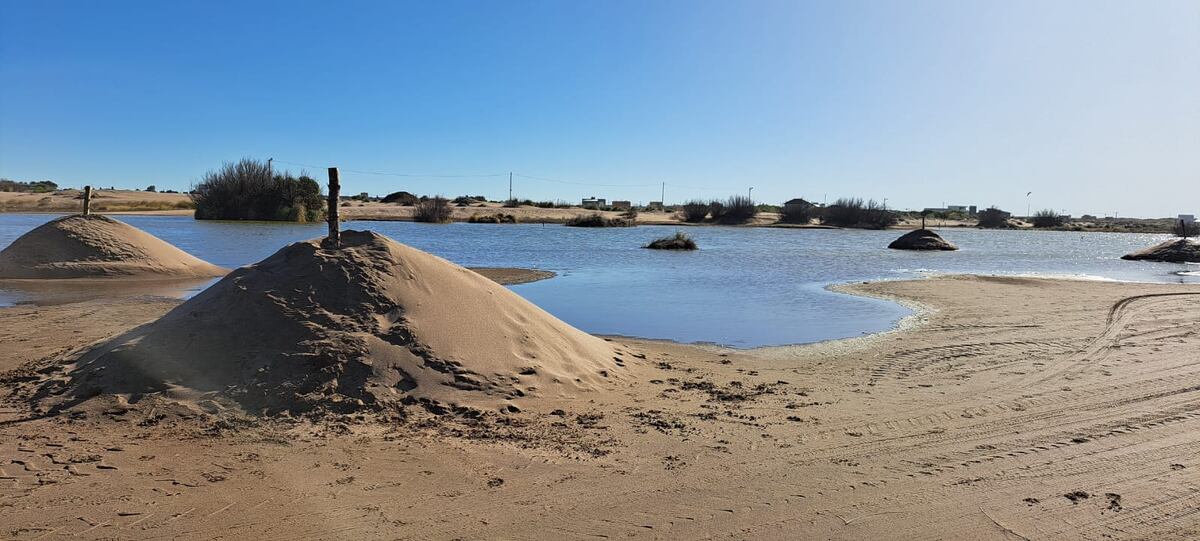 Reta: encuentran montículos de arena sosteniendo pilotes en una zona protegida de la albufera